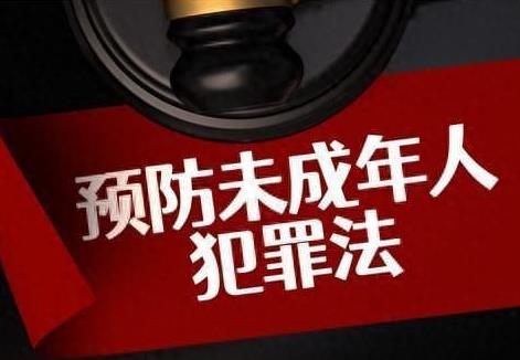 中华人民共和国预防未成年人犯罪法修订2024