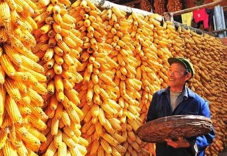 农民售粮款兑付管理办法2026全文